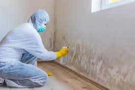 Trusted Indianola, MS Mold Prevention & Removal  Experts